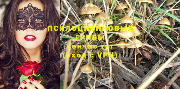 дмт Арсеньев
